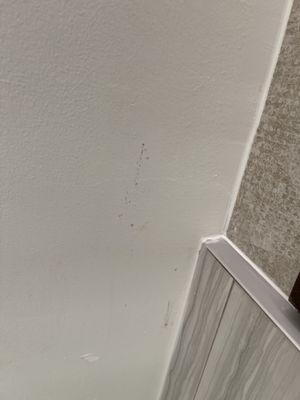 Mold spotson ceiling