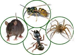 Barlows Pest Control