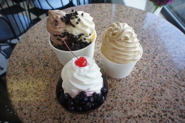 Come try our fresh frozen yogurt!