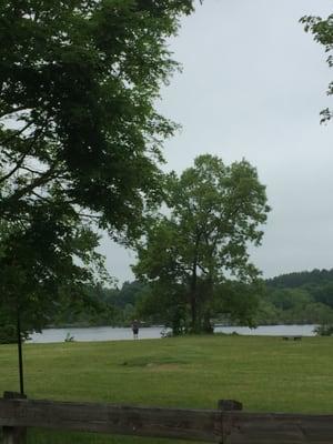 Buckmaster Pond of Westwood -- 350 Pond Street, Westwood        Park