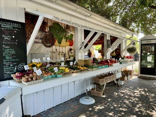 Sugar Babies Farm Stand