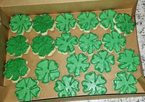 Shamrock Sugar Cookies decorated for St. Patty's Day