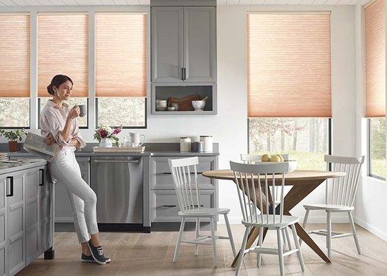 Blinds in Arvada