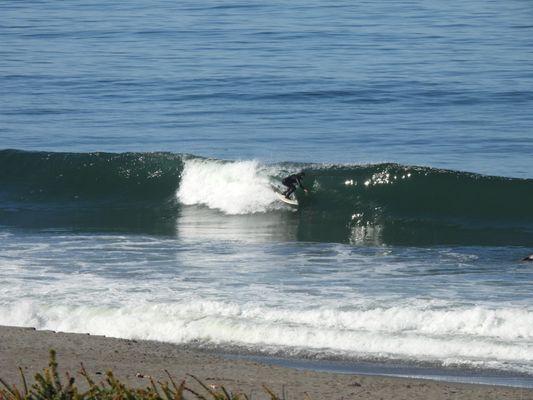 Safari Town Surf Instructor/ Kayak Tour Guide Josh Havelind