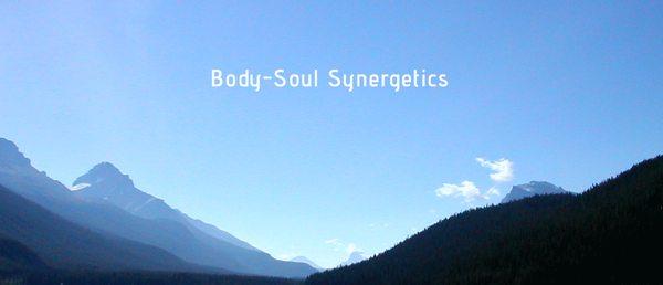 bodysoulsynergetics.com