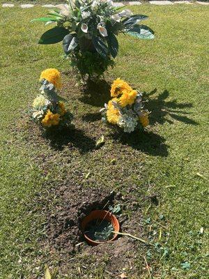 This is how I found my dads grave Friday morning at 11 am