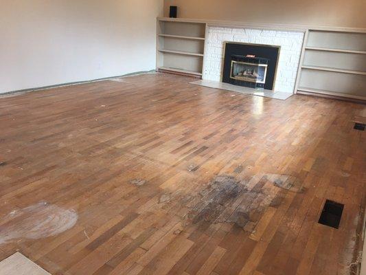 Ugly before pic of living room floor