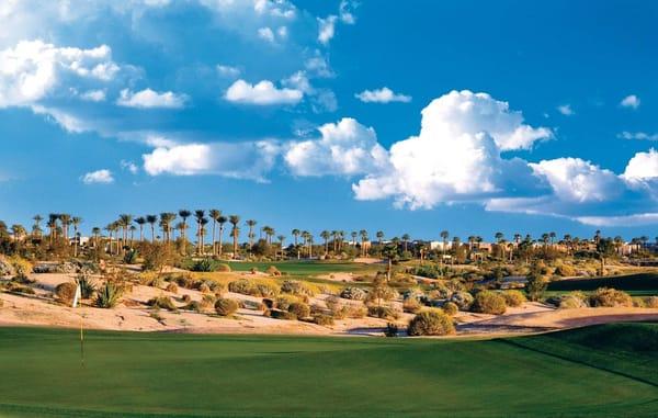 The Palm Course at Palm Valley