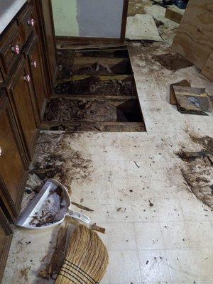 Water damage that had to be repaired before laying new floor,