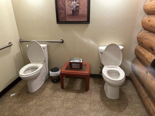 Double toilet for bffs in the ladies restroom