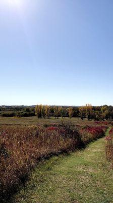 Perfect spot to check out all the fall colors!