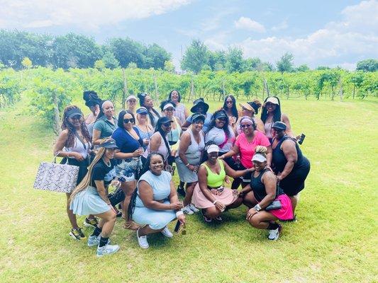 My group of beauties in the vineyard