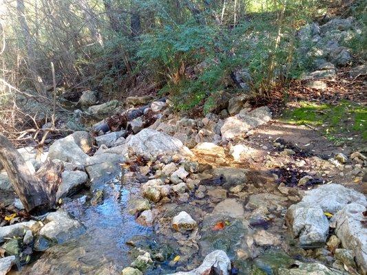 A freely-flowing stream in the 13th largest city in the country?  Believe it.