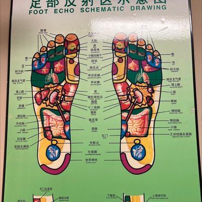 Foot Echo Schematic Drawing