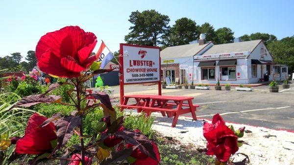 Local seafood, full bar, Patio seating.