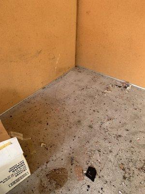 Rat droppings and damage