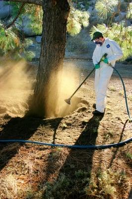 ISA Certified Arborist Kevin Sims performing a root crown excavation.