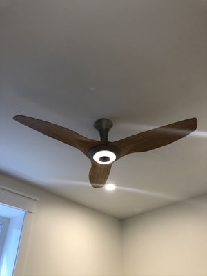 Ceiling fan