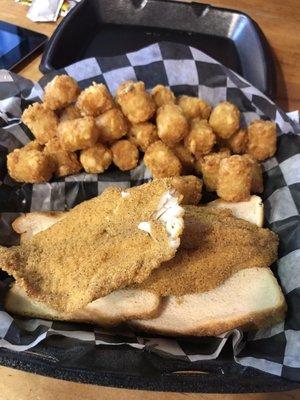 Fried catfish and tots!!!!