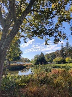 Beautiful fall morning at Dawson Creek Park