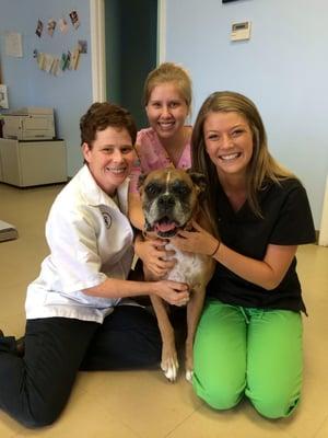 Dr. Lisa Jones with technicians Emily (top) and Katie (left) and our big silly pal Jake in the middle!