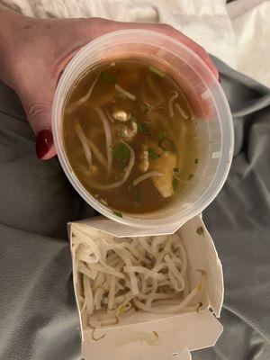 Thai Noodle Soup with the noodles and sprouts packaged separately.  Nice touch.