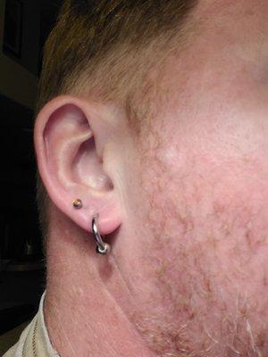 14 gauge black opal non threaded, flat back top, 10 gauge captive ball hoops bottom. 2 days old