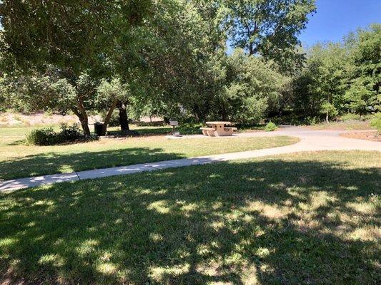 Picnic area with BBQ