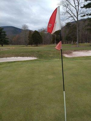 8th hole - Par 3 - 168 yards. That's my Bridgestone between the square bunkers, flew it right over the top. Bad caddying by me.