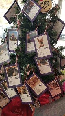 Angel tree for animal nonprofit.