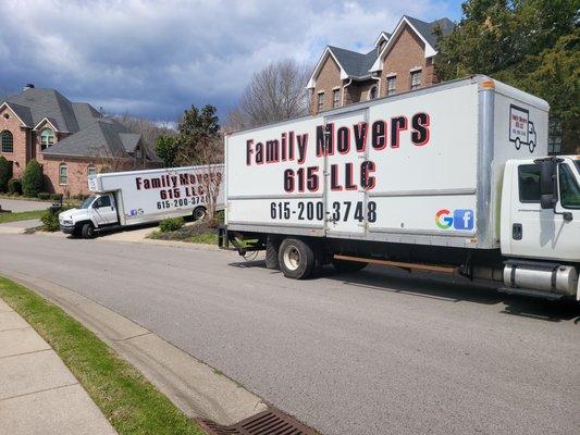 Family Movers 615