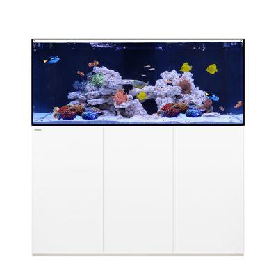 We are the official retailers for Waterbox Aquariums!