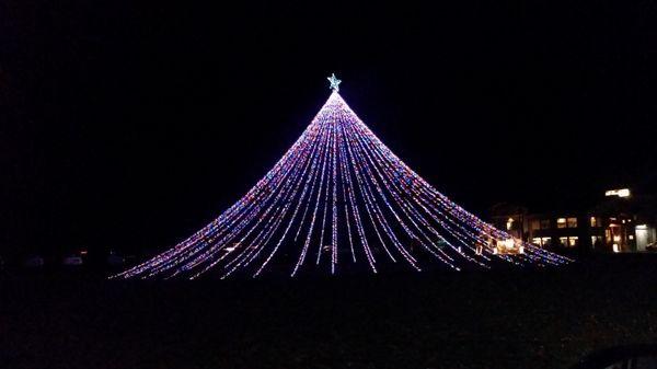 Robideaux Motors Locally Famous Christmas Tree