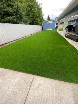 Artificial Grass Turf Installation