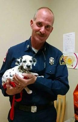 This firehouse pup is a patient of ours!