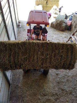 A big help stacking hay