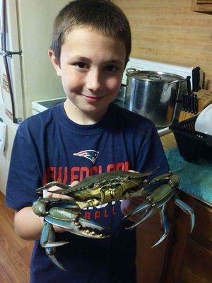 Rhode Island Blue Crabs are plentyful inn the summer.  Come in and get yourself some crab lines and fill your pot too