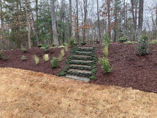 Bluestone steps, plants, and mulch install