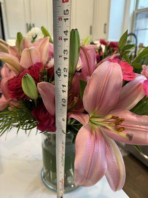 14" tall from bottom of vase to tallest flower. Nothing "premium" about this.