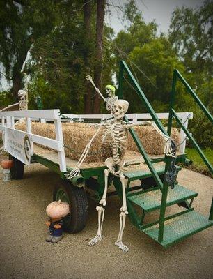 Haunted hay ride, get on board and take a picture with some of your goulfriends.