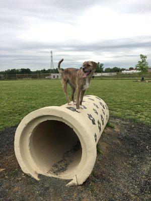 She loves this pipe.