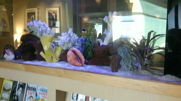 Lobby fish tank