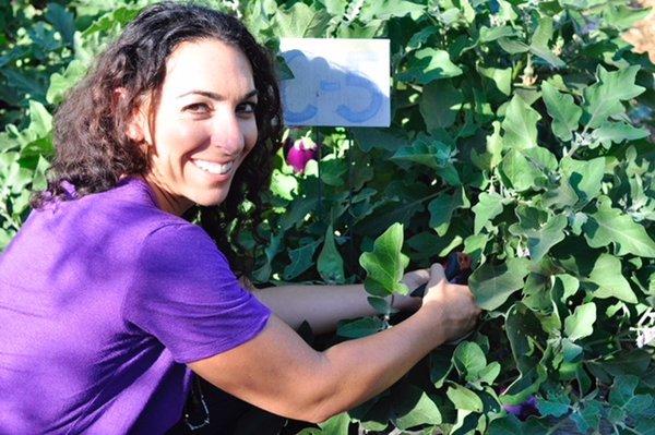 Learn where and how your food grows in our Farm to Table class!  Tour the farm, pick the produce, cook a meal and enjoy it all on the Farm.