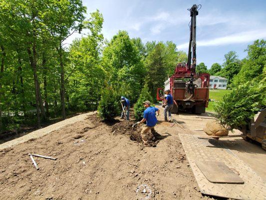 Southbury Tree Service planting 35 new trees for our customer