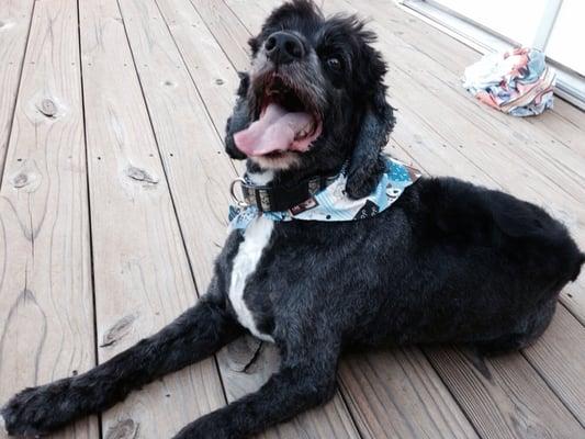 Lucky's all smiles after his visit!