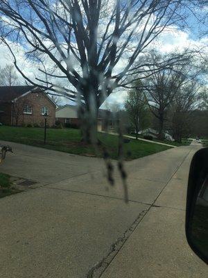 Tar on window