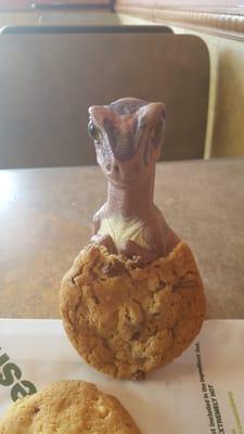 Bob the Raptor Says "These Mammals have Cookie Prey!!"