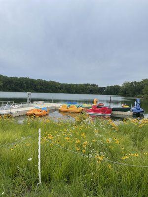 The paddle boats