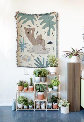 Potted plants make great gifts.