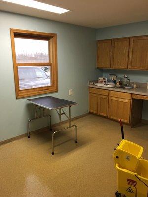 Feline Exam Room